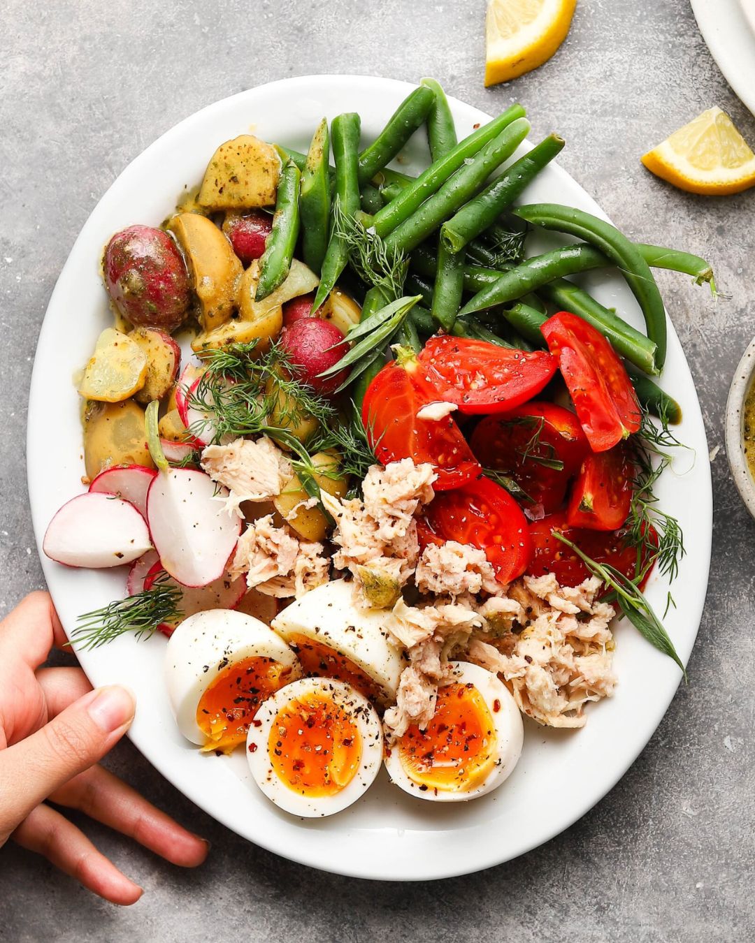 Colorful Tuna Nicoise salad with tomatoes, eggs, potatoes, beans, and radishes on a plate.
