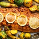 Steelhead Trout