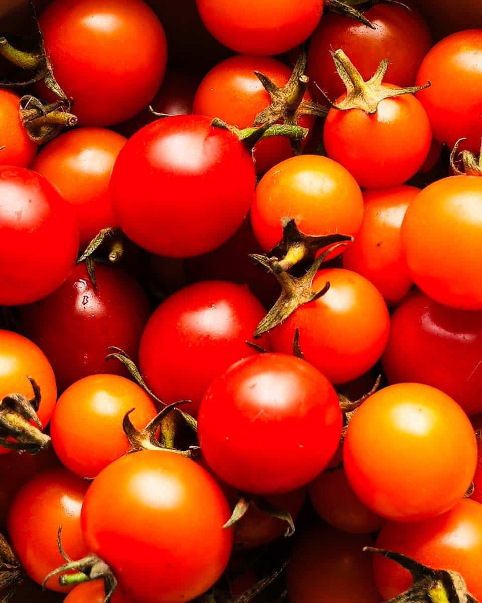 Vibrant red and orange cherry tomatoes with green stems.