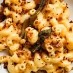 Creamy mac and cheese topped with crispy sage breadcrumbs.