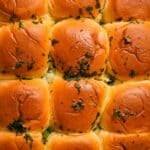 Golden brown dinner rolls topped with fresh herbs.