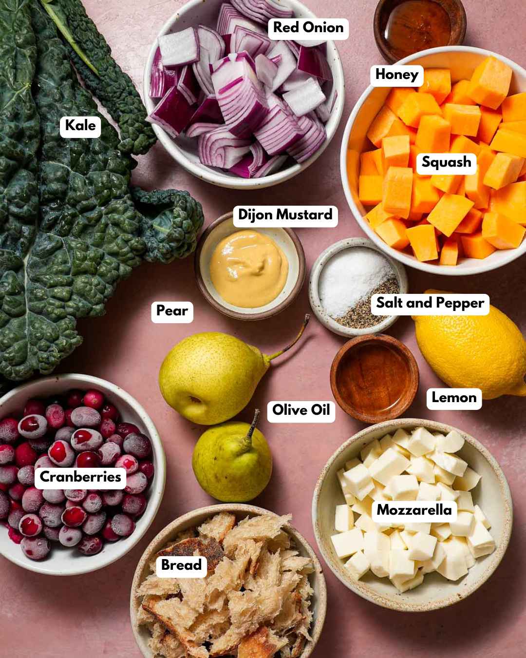 The ingredients laid out and labeled to make a Fall panzanella salad with a cranberry vinaigrette.